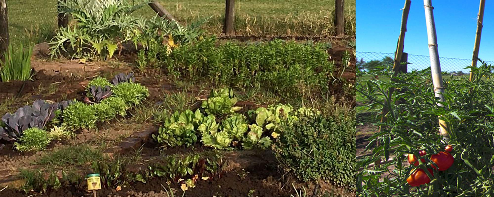 Bio-Obstgarten der Estancia